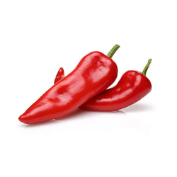 exercita tionem ulam