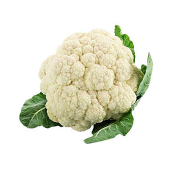 culpa quiocia desunt